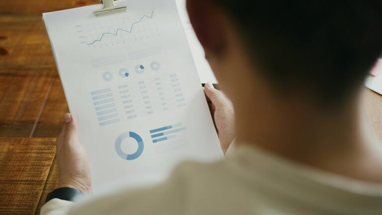 project summary report details